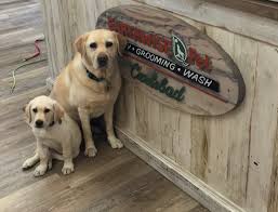There has been a sudden death amongst management ( natural causes), with key people leaving for now. Carlsbad Earthwise Pet Carlsbad