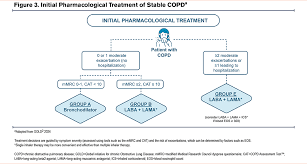 Image result for COPD Management