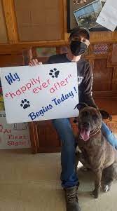 You get them with a registration certificate, a written health certificate from the vet and an extended pitbull terrier puppies adoption. Pit Bull Mix With Adopted After Spending 842 Days In Ohio Shelter People Com