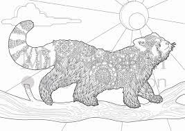 Discover our coloring pages of panda to print and color for free. Red Panda Coloring Novocom Top