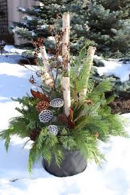 People are illegally cutting down birch trees in the name of home decor. 73 Best Birch Bark Decor Ideas Birch Bark Decor Birch Tree Decor Birch Bark