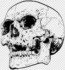 Black Skull Sketch T Shirt Skull Drawing Work Of Art Punk Wind Black Skeleton Transparent Background Png Clipart Skull Sketch Skull Drawing Skull Artwork