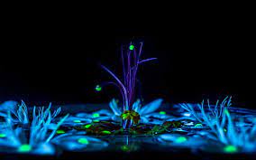 The great collection of trippy hd wallpapers 1920x1080 for desktop, laptop and mobiles. Hd Wallpaper Psychedelic Trippy Digital Art Plants Dark Wallpaper Flare