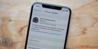 Download latest beta profiles for ios, ipados, macos, watchos and tvos. Apple S Ios 12 Public Beta 2 Includes Gps And Carplay Bug Fixes