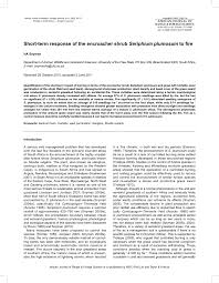 Image result for Stoebe vulgaris