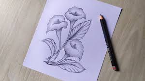 Browse the user profile and get inspired. How To Draw A Datura Flower à¦§ à¦¤ à¦° à¦« à¦² Pencil Sketch Drawing For Beginners Youtube