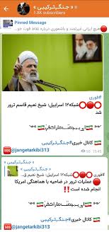 نعیم قاسم