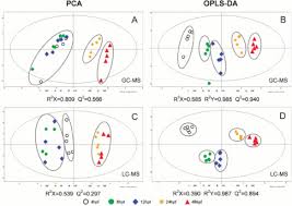 Gc Ms Based Metabolic Phenotyping Sciencedirect