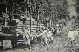 Sistem ini diberlakukan di berbagai daerah. Tanam Paksa Pengertian Tujuan Latar Belakang Van Den Bosch