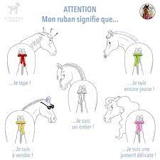 connaissez vous la signification les couleurs des rubans dans l ecurie chevaux laquelle mettriez a votre cheval ke dessin jument coloriage d&#x00027;un quad