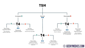 Tsh Diagram Catalogue Of Schemas