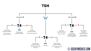 Thyroid Function Test Interpretation Tft Interpretation