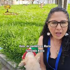 From “Fundacion Arupo” here are some tips if you are sensitive to extreme  louder sounds specifically during this season do to the fireworks