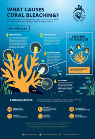 Biology For A Changing World 3rd Edition Pin By Joyce Ni On Marine Infographics Marine Biology Coral Bleaching Marine Conservation
