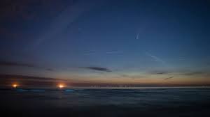 Dat maakt dat zeevonk een dierlijk kenmerk heeft. 2 In 1 Zeevonk En De Neowise Komeet Katwijk Aan Zee 18 07 2020 Thenetherlands