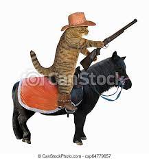 Cat in a cowboy hat cat. Cat Cowboy Auf Einem Schwarzen Pferd Der Cowboy Mit Einem Braunen Hut Und Stiefeln Mit Einem Gewehr Reitet Ein Schwarzes Canstock