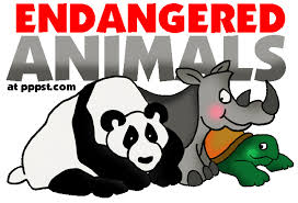 Endangered Animals Free Presentations In Powerpoint Format Free Interactives Endangered Animals Endangered Species Project Endangered Animals Project