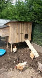 Un Poulailler De Luxe Pour Pas Grand Chose Poulailler Poulailler Palette Jardin Poulet