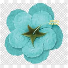Powder blue color light blue, blue powder, blue powder png clipart. Blue Flower Png Transparent For Free Download Pngfind