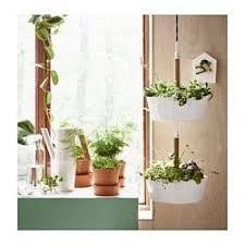 Bittergurka Giesskanne Weiss Ikea Deutschland Hanging Plants Fun Planters Hanging Plants Diy