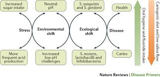 Dental Caries Nature Reviews Disease Primers
