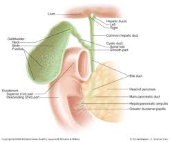 We did not find results for: Clinical Cases Cholelithiasis