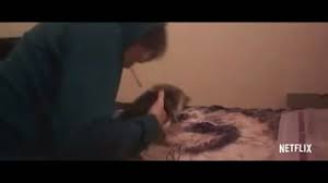 When you notice a cat in profound meditation, the reason, i tell you, is. Don T F K With Cats Netflix S Kitten Killer Series Branded Most Disturbing Documentary Yet By Viewers The Independent The Independent