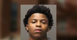 Alligator Found During Marijuana Drug Bust In Jessup