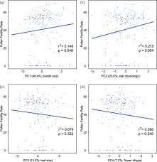 Four from five wholesale florists have salesmen that have been with the company for more than five years, according to the wholesale floral designer & floral designer providers association (wf&fsa). The Genetic Basis Of Hybrid Male Sterility In Sympatric Primulina Species Bmc Ecology And Evolution Full Text