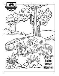 Scroll down and click on older posts and you can see all my posts about paleontology. Lizard Coloring Pages C S W D