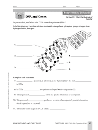 Cell biology chapter exam instructions. Dna And Genes Reinforcement And Study Guide Answers Fill Online Printable Fillable Blank Pdffiller