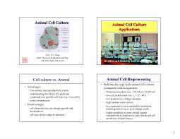 The journey focuses on merck's ebola vaccine ervebo® and how it came to use exbumin as an excipient. Lecture 2 Animal Cell Culture