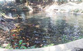 We did not find results for: Kenalkan Wisata Basah Sumber Sirah Mansurasyarie