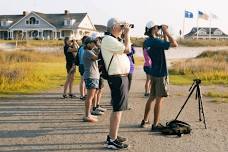 Bird Walk at the Ocean Course