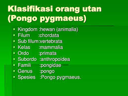 Check spelling or type a new query. Ppt Tingkatan Takson Dalam Klasifikasi Powerpoint Presentation Free Download Id 5078248