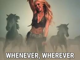 Risultati immagini per whenever wherever shakira