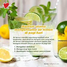Karena lemon memiliki khasiat yang baik bagi lambung dengan gastritis, anda bisa mencoba terapi minum air hangat dengan perasan lemon setiap pagi. Beragam Khasiat Minum Air Lemon Di Pagi Hari 1 Mengatasi Dehidrasi 2 Mengurangi Bau Mulut 3 Membantu Melancarkan Pencernaan Tubuh Sehat Air Lemon Lemon