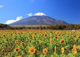 We did not find results for: Lpk Saitama Program Pemagangan Ke Jepang Resmi Pemerintah