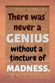 A Genius Needs Madness Bad Genius Genius Short Quotes