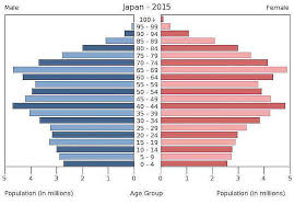 Age Sex And Population Pyramids