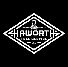 20 maple st weymouth, ma 02189. Haworth Tree Service