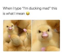 I explain why people say dank memes and what it means in today's video. What Is A Meme