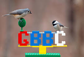 We are a family owned & operated business since 1953 and offer many different outdoor living. The Great Backyard Bird Count Audubon Connecticut