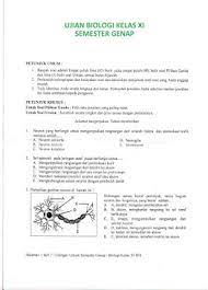 Intan pariwara kelas 10 (x) semester 1 pdf. Contoh Soal Essay Biologi Kelas Xi