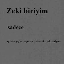 Kendime Beyinsiz Demem Zeki Oldugum Gercegini Degistirmez Funny Quotes Cool Words Humor