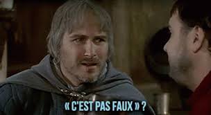 C'est pas faux (roughly meaning you have a point in english) is a catchphrase meant as a filler retort when replying to someone. C Est Pas Faux Gif Cestpasfaux Kaamelott Discover Share Gifs