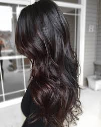 Found On Bing From Www Pinterest Com Black Hair Balayage Hair Styles Hair Color For Black Hair