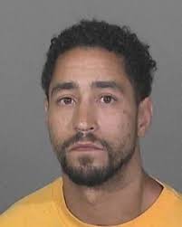 Man Found Guilty of Pit Bull Mauling that Killed a Palmdale Woman