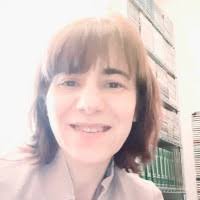 100+ perfiles de «Condito»