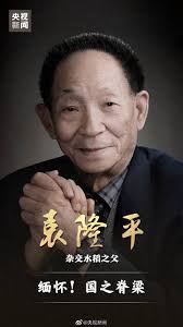國內銷售通路包括 燦坤3c，捷元，神腦國際，全虹通訊，家樂福，上新聯晴，法雅客，pchome，yahoo，momo， gomaji 7net， 台灣大哥大及森森等通路。 å¤®è§†æ–°é—»çš„å¾®åš å¾®åš